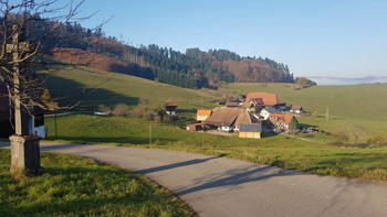 Steinach