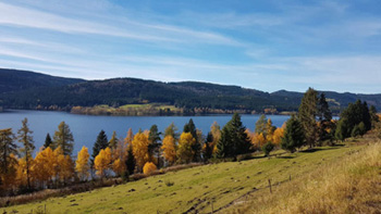 Schluchsee